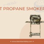 Best Propane Smokers: XL, Set & Forget, Portable + More