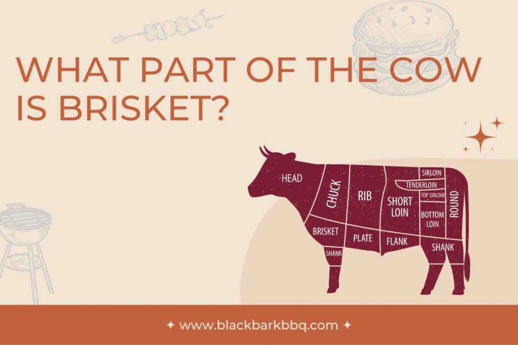 What Part of The Cow Is Brisket?